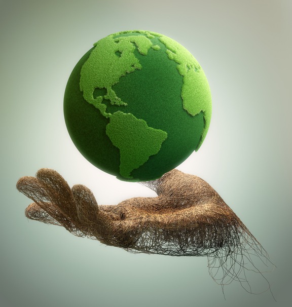 hand made of branches holding a green earth