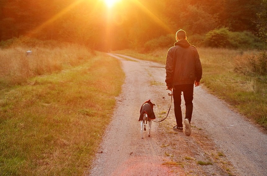 How Can Snus Help with Organic Living?