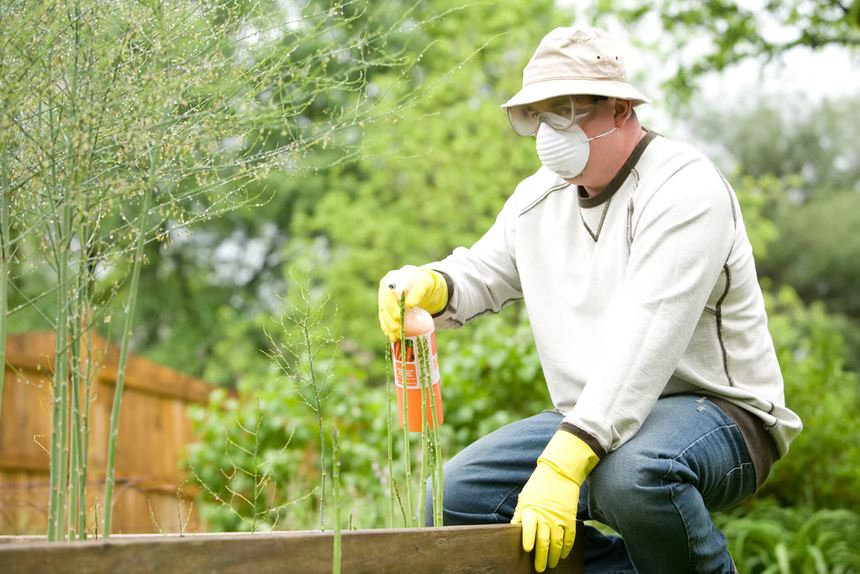 Soap Can Work As a Fertilizer, Making It Safe for You and Your Plants