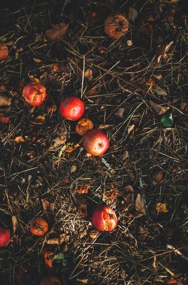 You Won't Need To Add Harsh Chemicals to Your Compost or Runoff Water