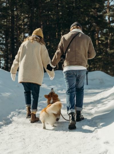 Caring for Dogs during winter