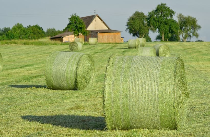 bales of hay