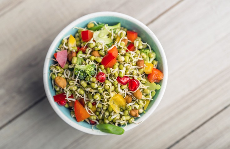 Sprouted Lentil Salad