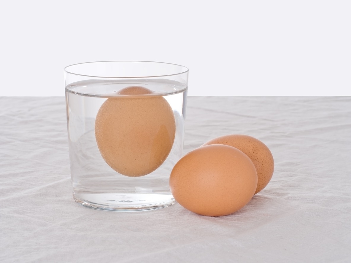 testing-fresh-eggs