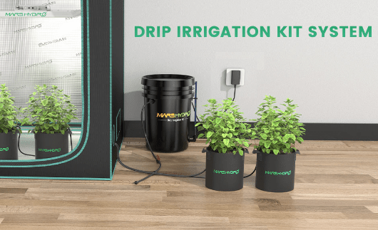 Best Drip Irrigation in Your Grow Tent