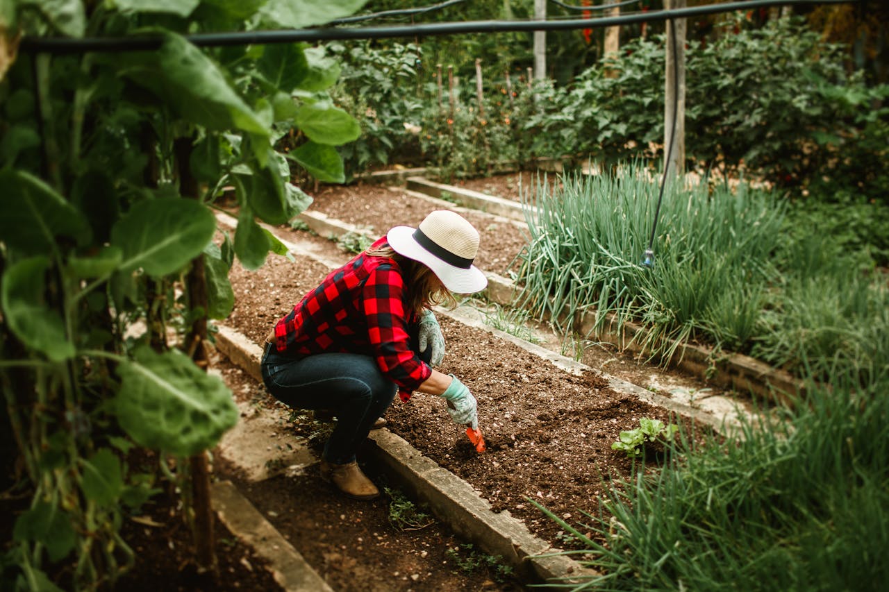 woman working in a garden