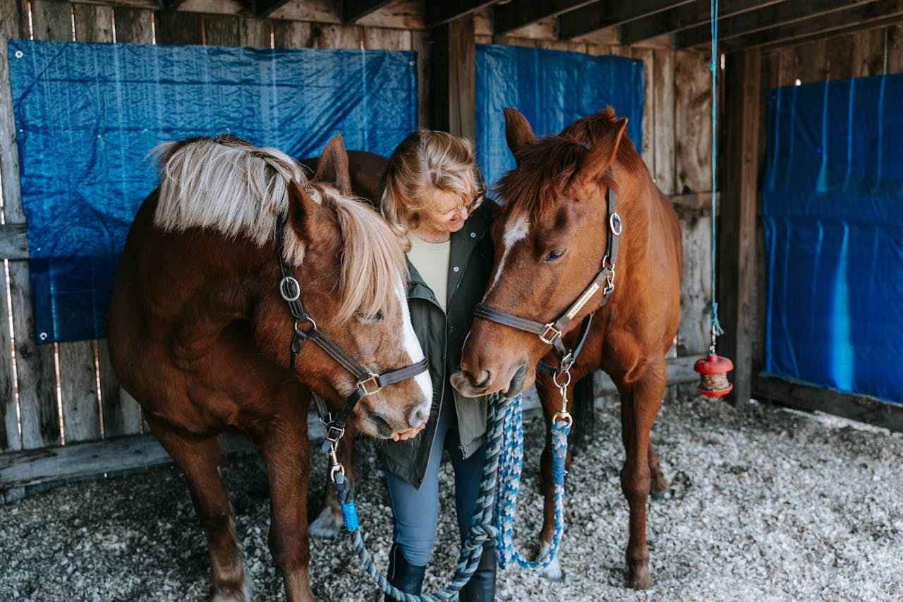 a woman checking in on horses 