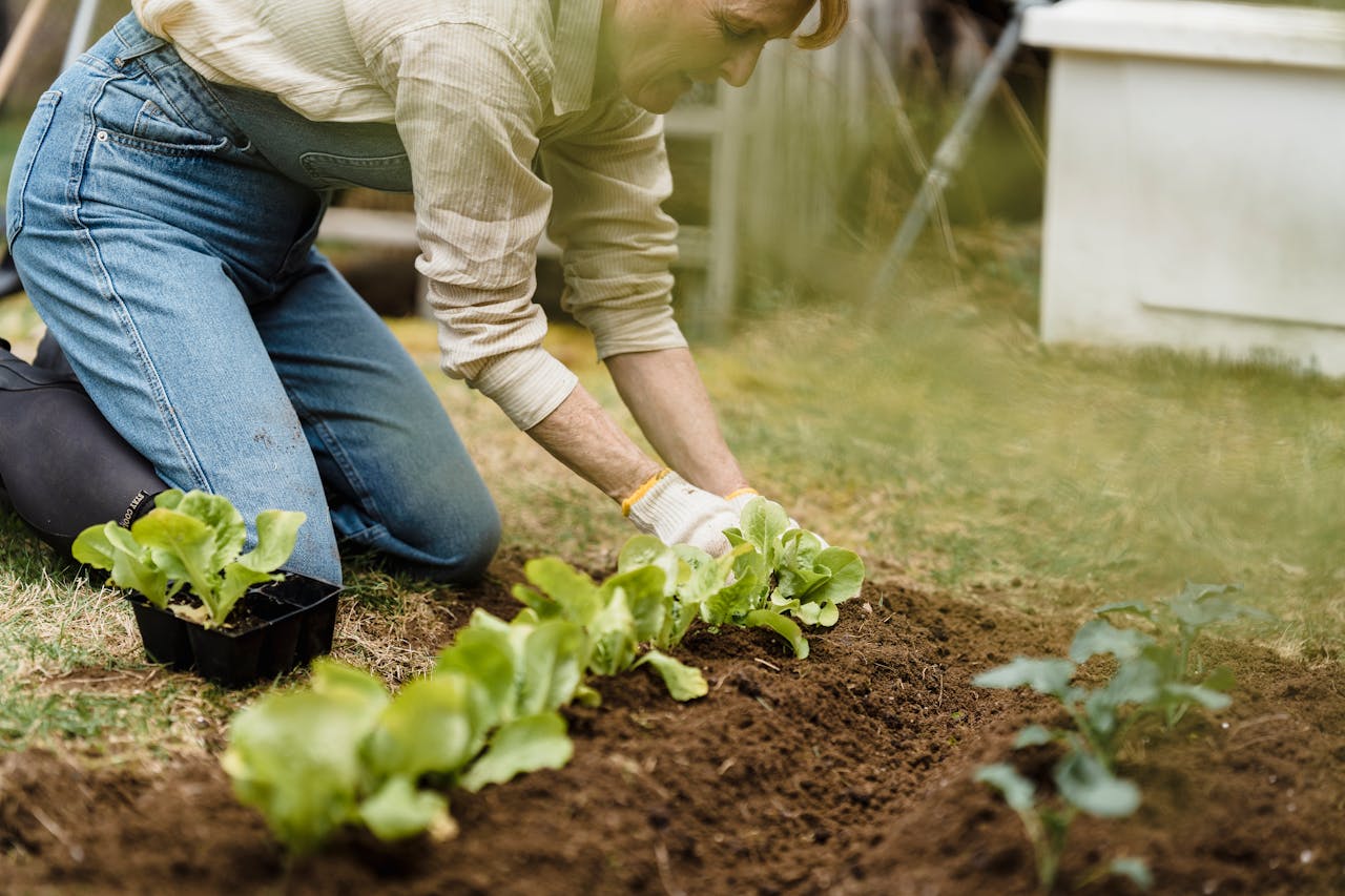 woman planting in a soil