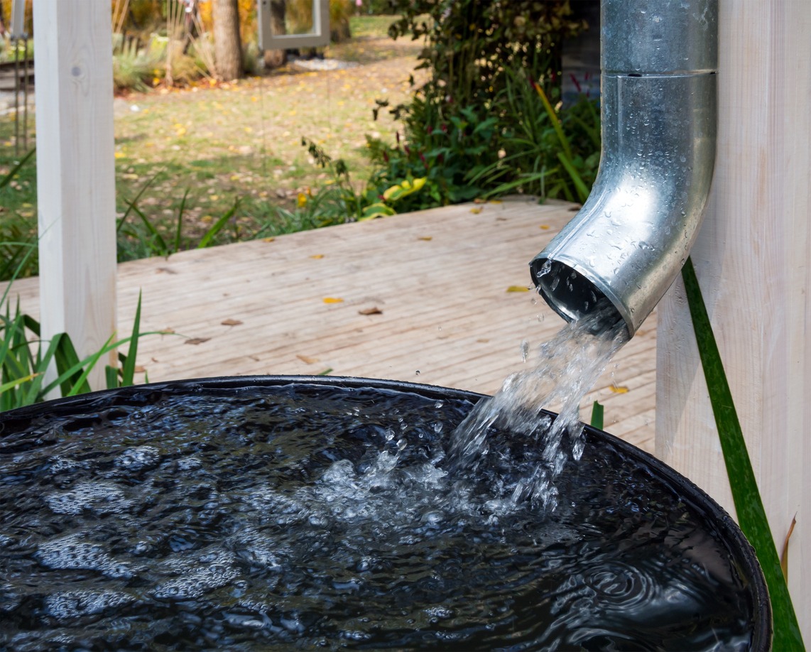 rainwater drains from the drain pipe into a metal container