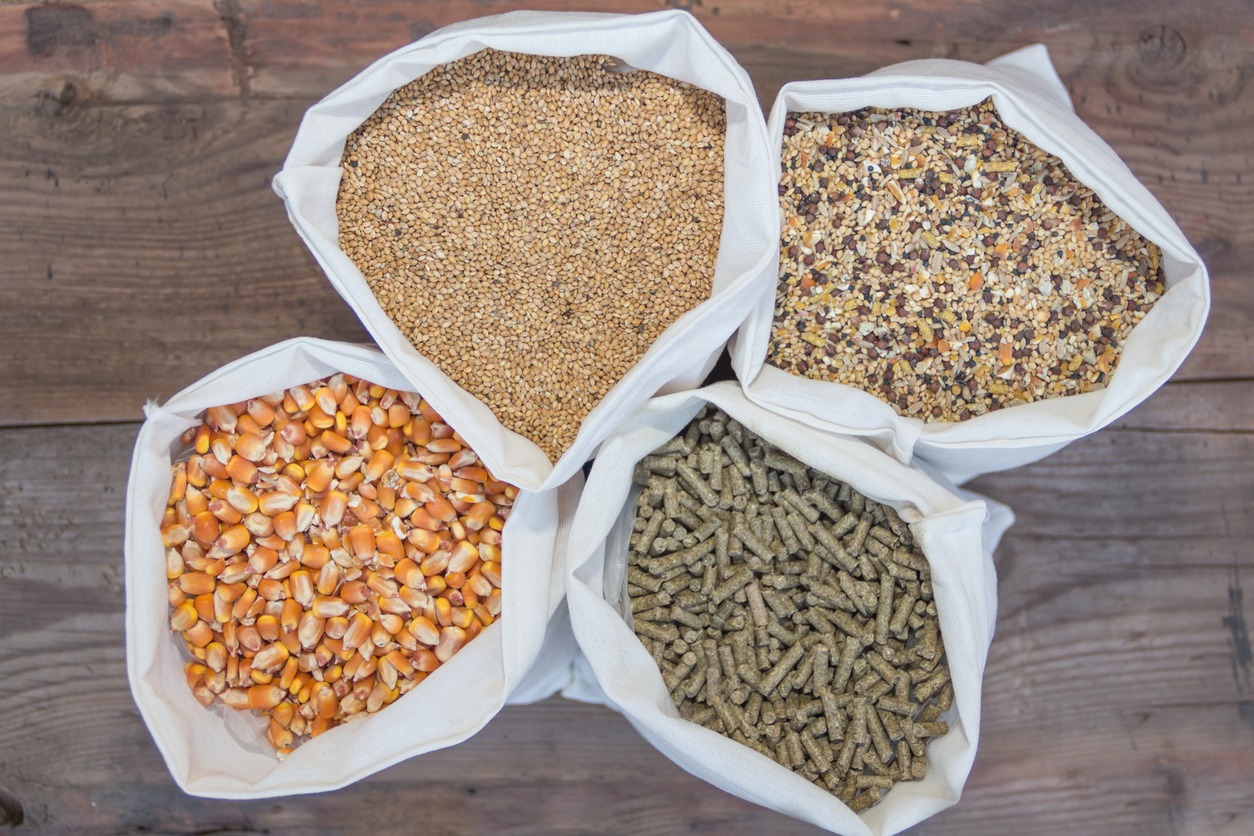 overhead view of bags with grains and pellets