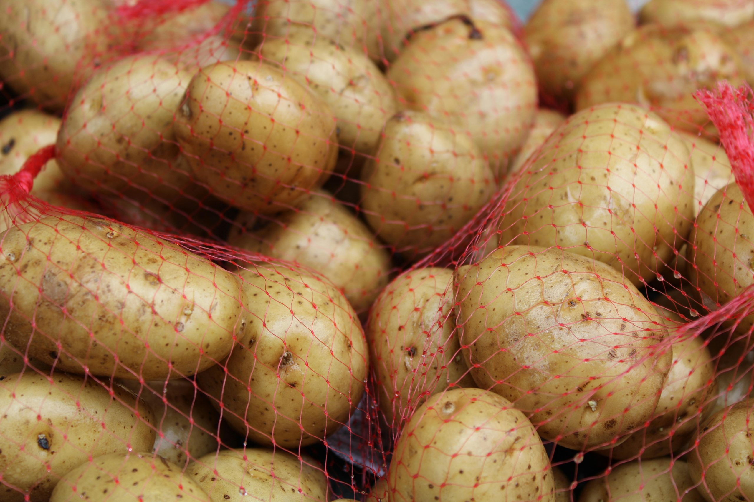 Storing Potatoes