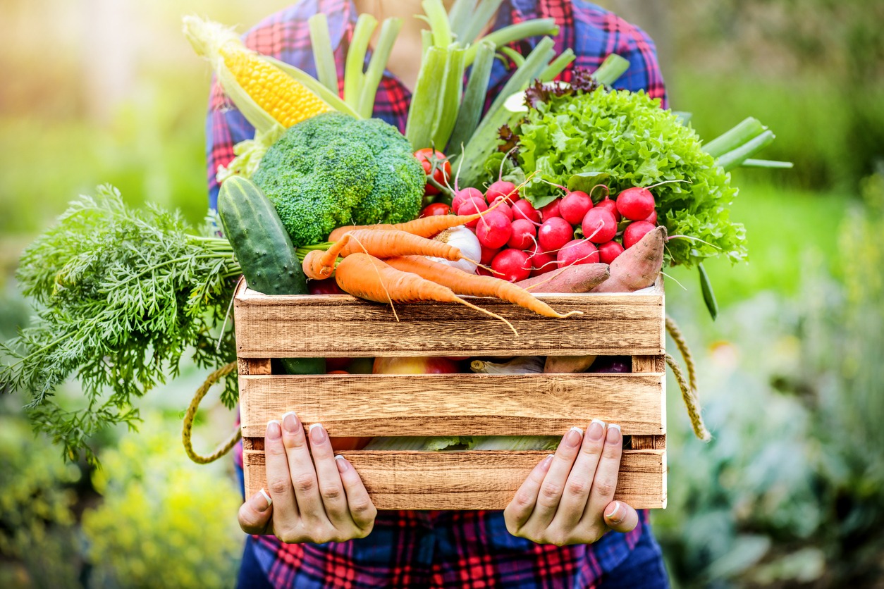 Farmer woman holding a wooden box full of fresh raw vegetables