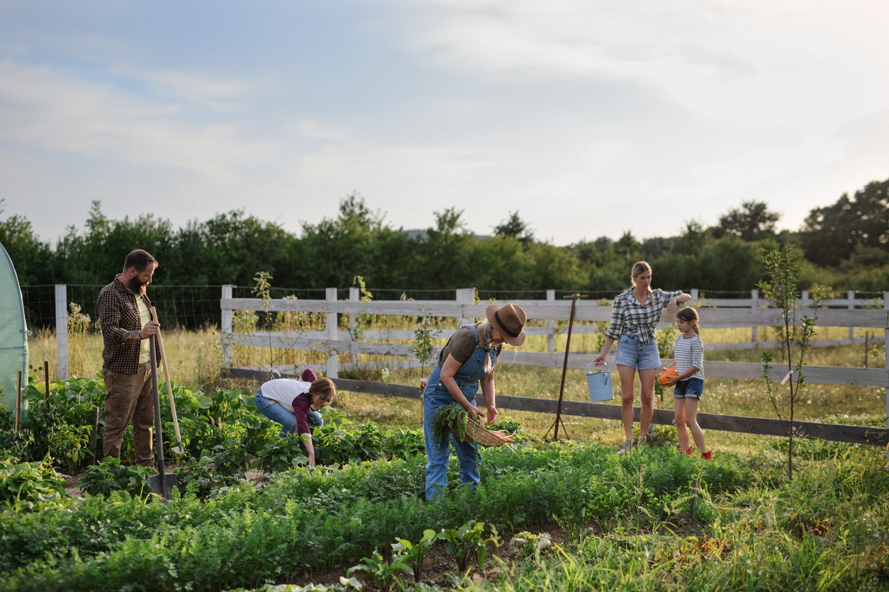 Happy farmers or gardeners working outdoors at community farm