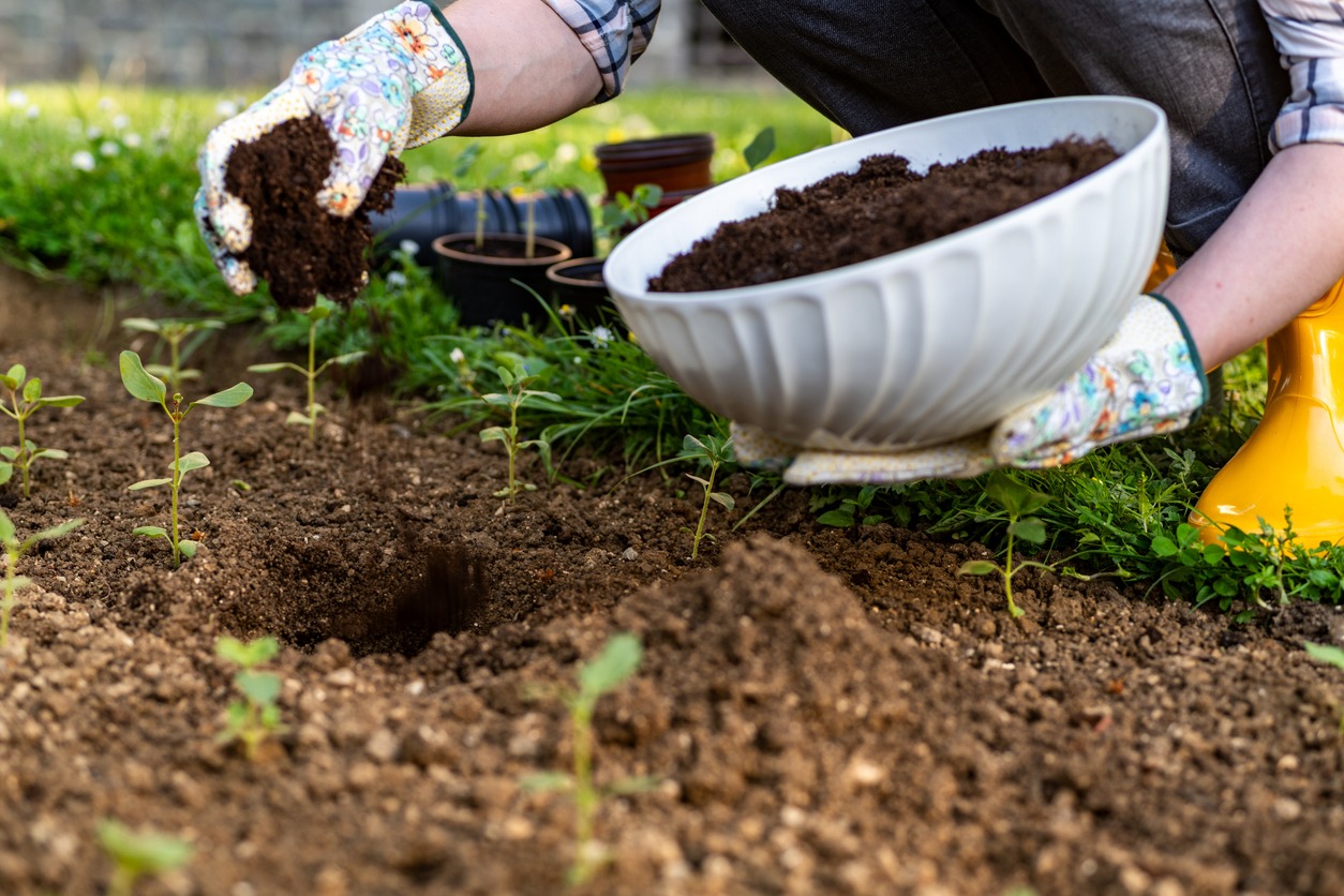 Eco friendly gardening