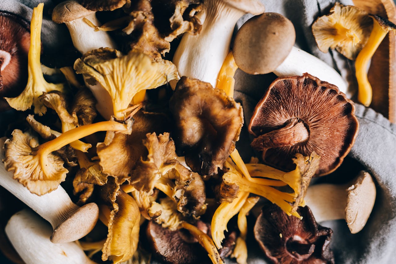 Assorted Mushrooms