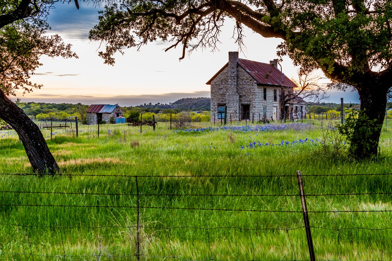 Abandonded Old House in Texas Wildflowers.