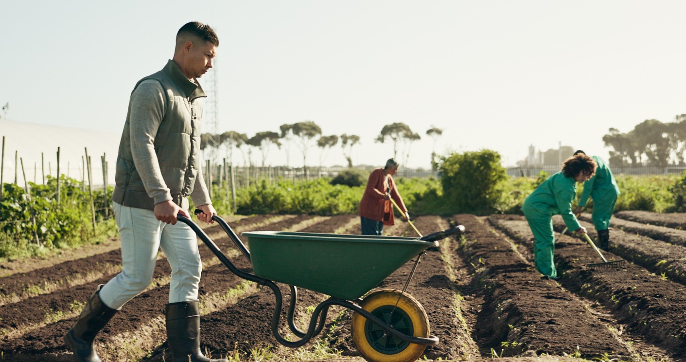 wheelbarrow and soil for working on farm for agribusiness
