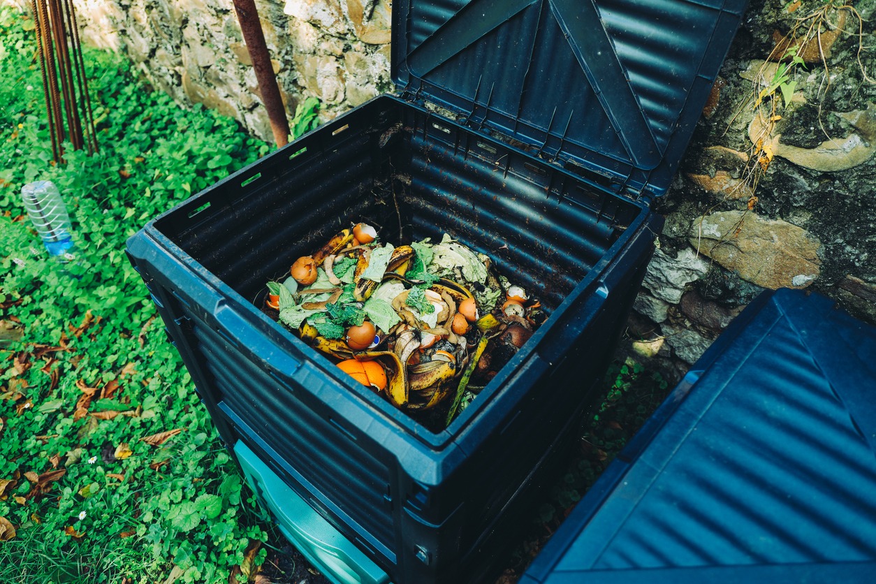a compost bin with organic waste