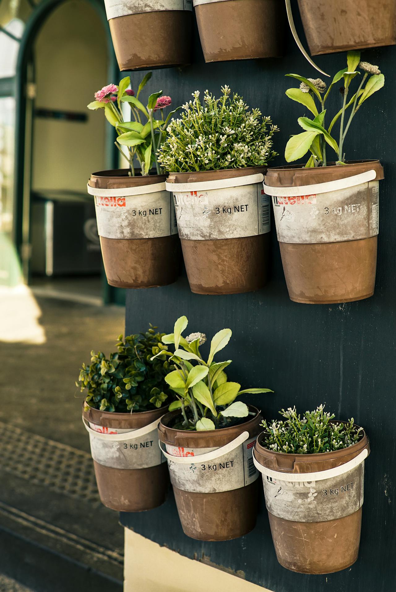 recycled plant pots made of old Nutella buckets