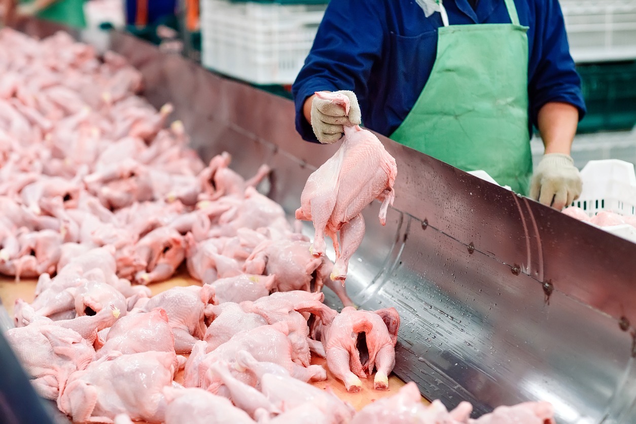 The meat factory