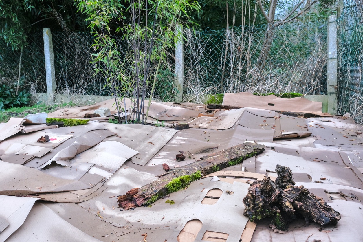 Lasagna method, during soil preparation in a garden bed