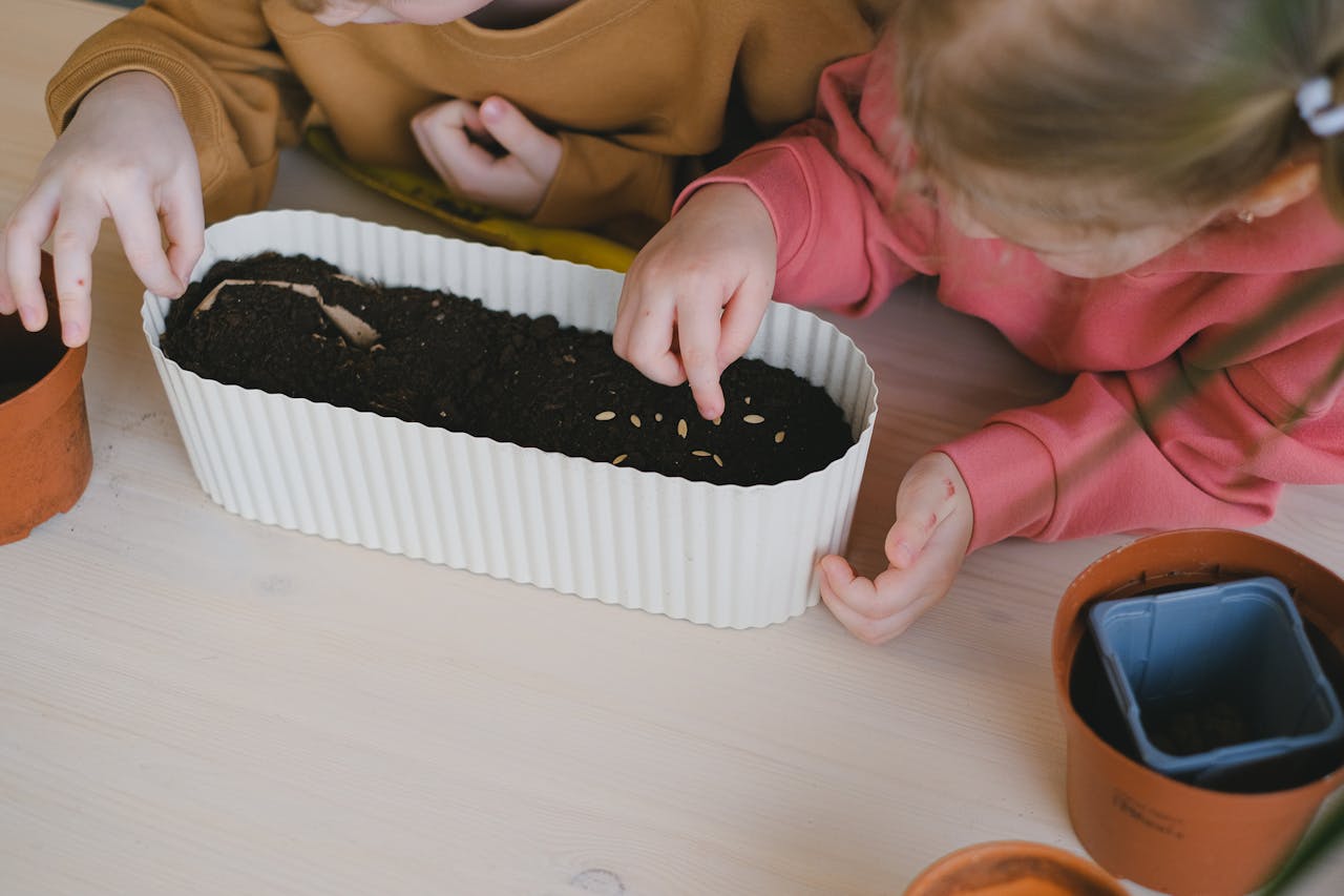 kids sowing seeds in a pot