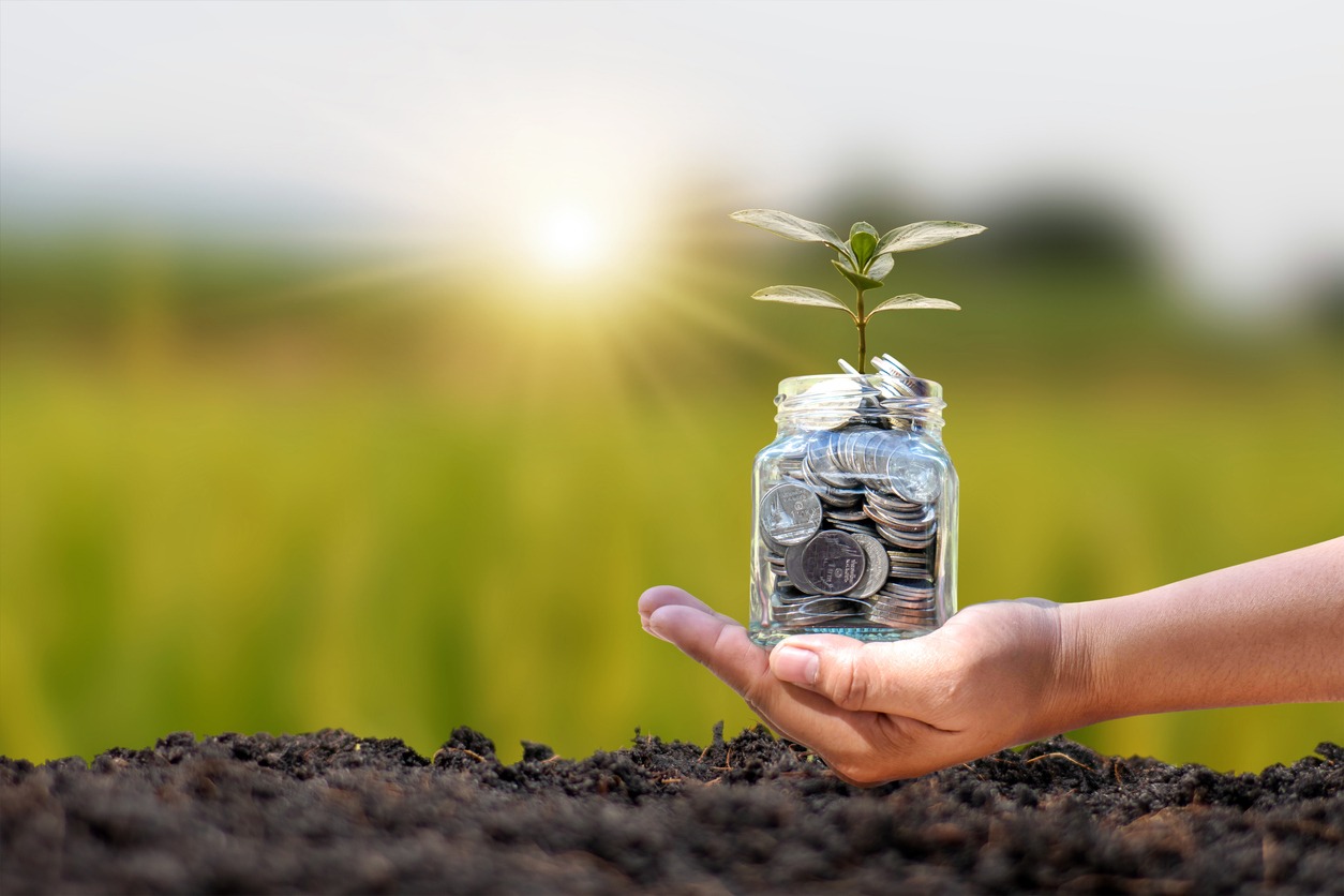 Hand holding a money bottle with a tree to plant in the soil, planting a forest concept, and protecting the environment.