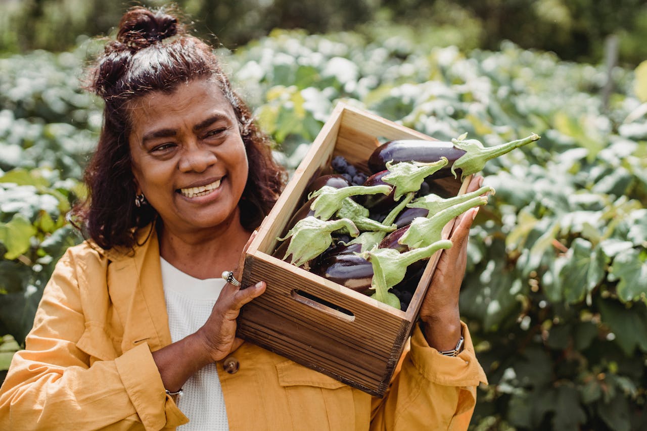 a woman holding a box of harvested eggplants from her garden