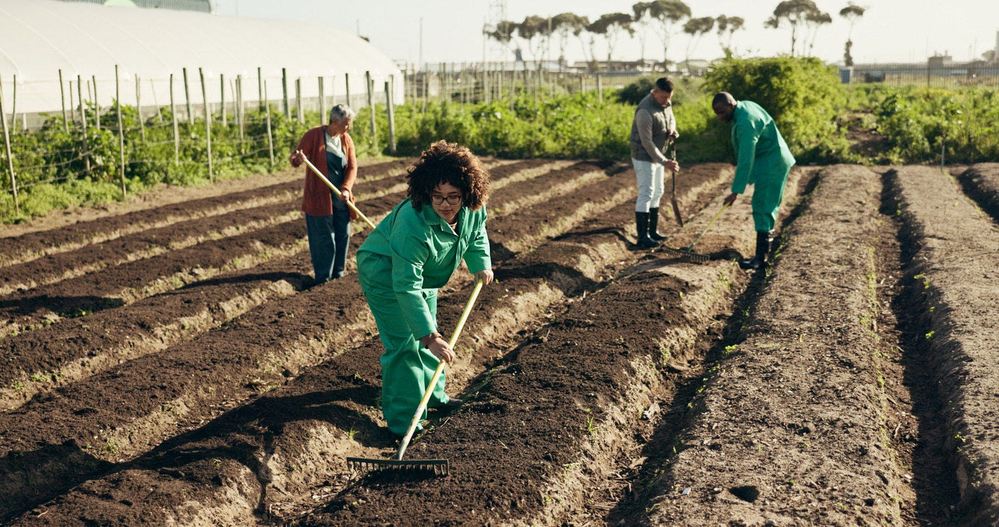 Woman, land or farming to rake field