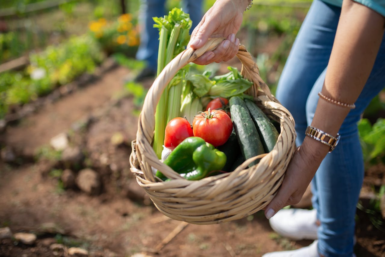 a person holding a basket of vegetables