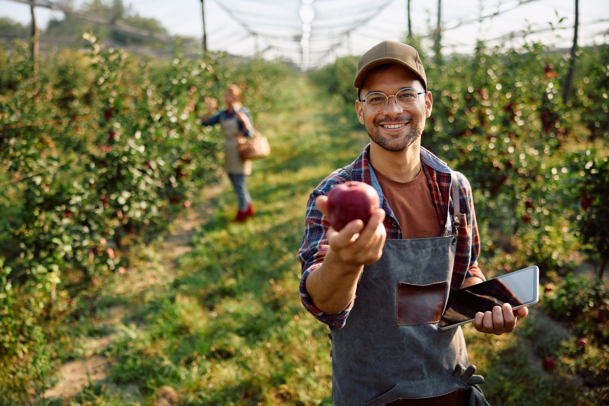 Happy orchard worker holding freshly picked apple and looking at camera