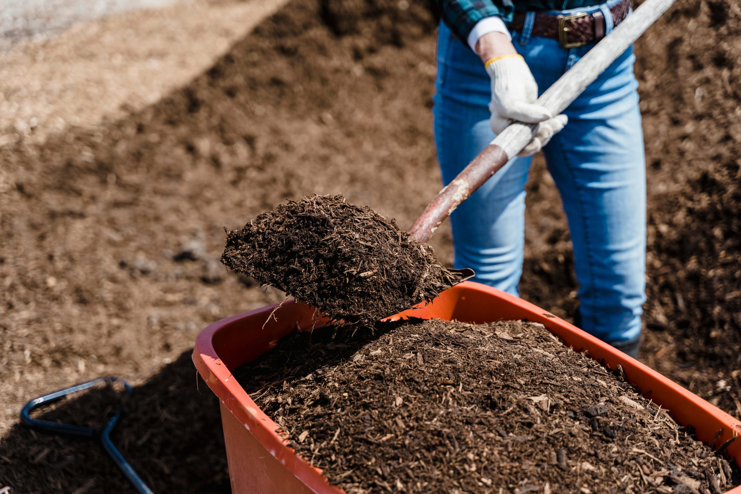 compost being placed in the soil