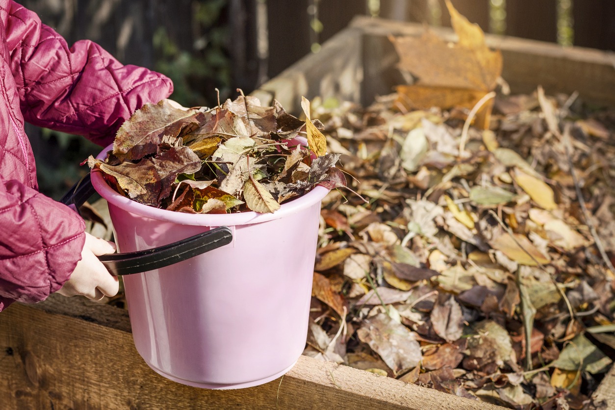 compost bin full of autumn leaves