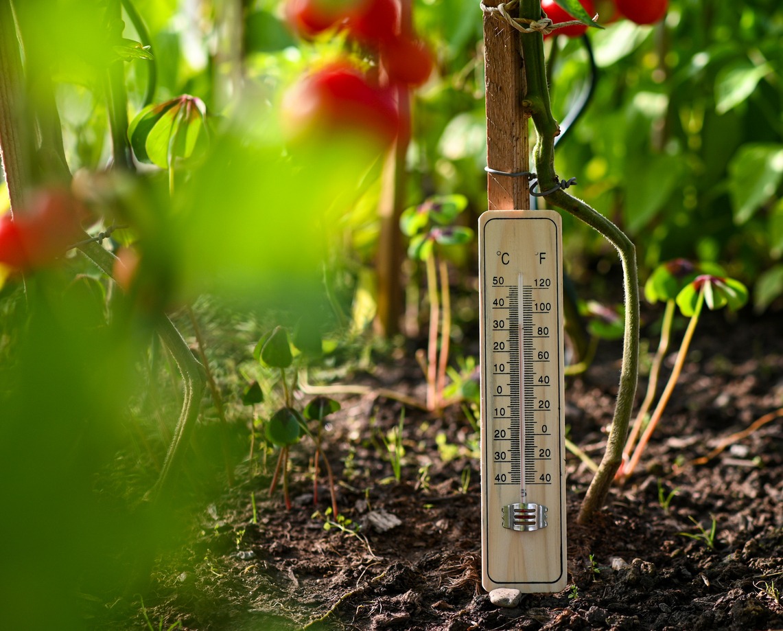 Temperature Management Techniques