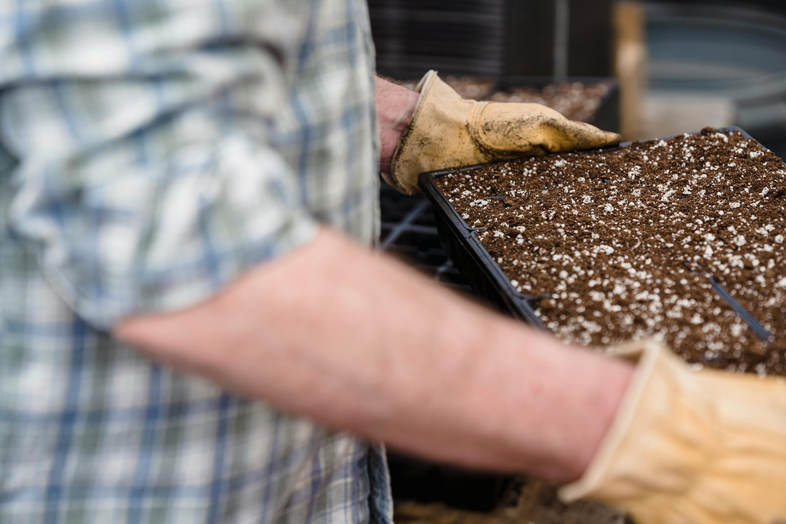 a gardener preparing soil