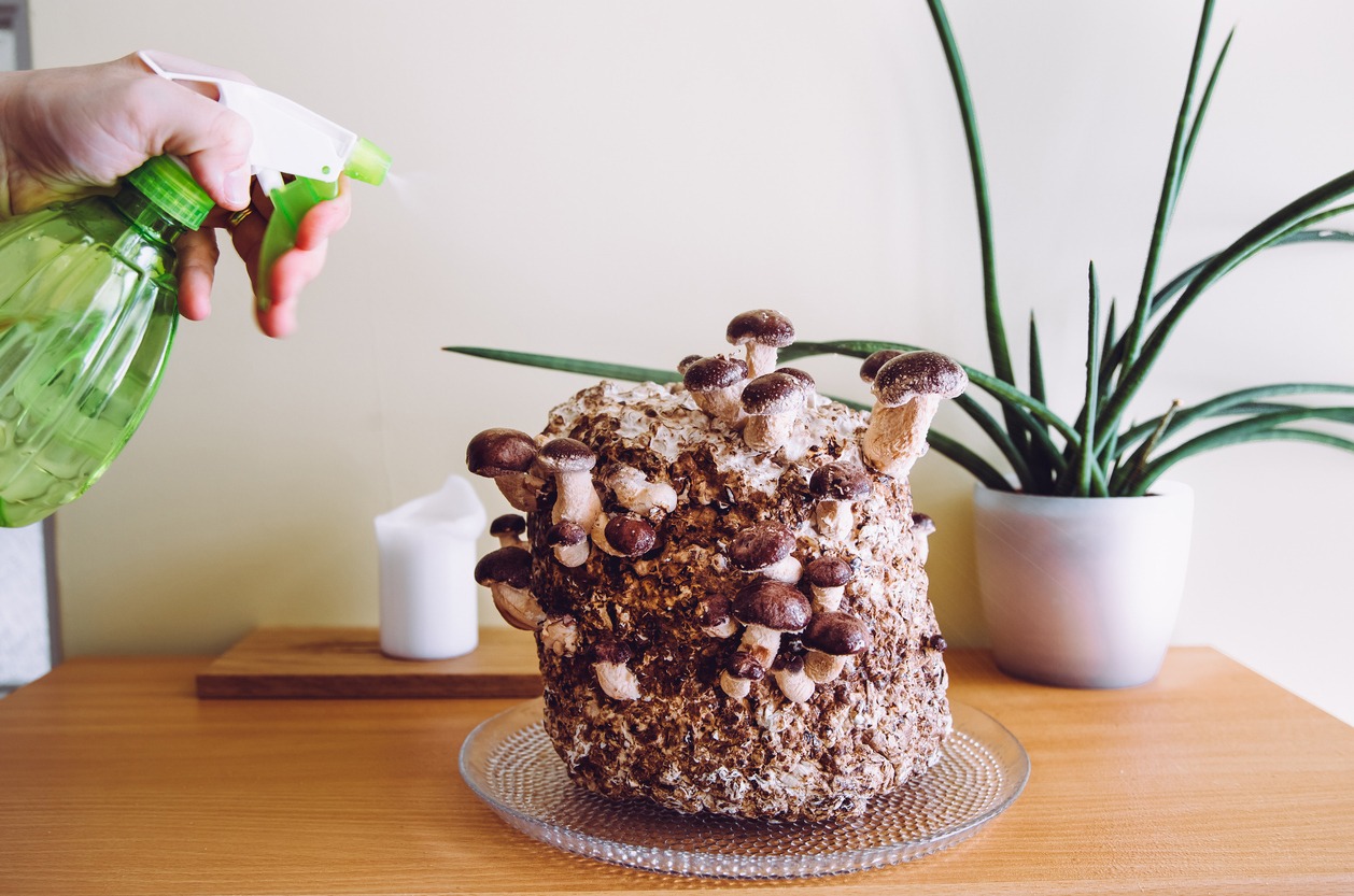 Maintaining Ideal Growing Conditions