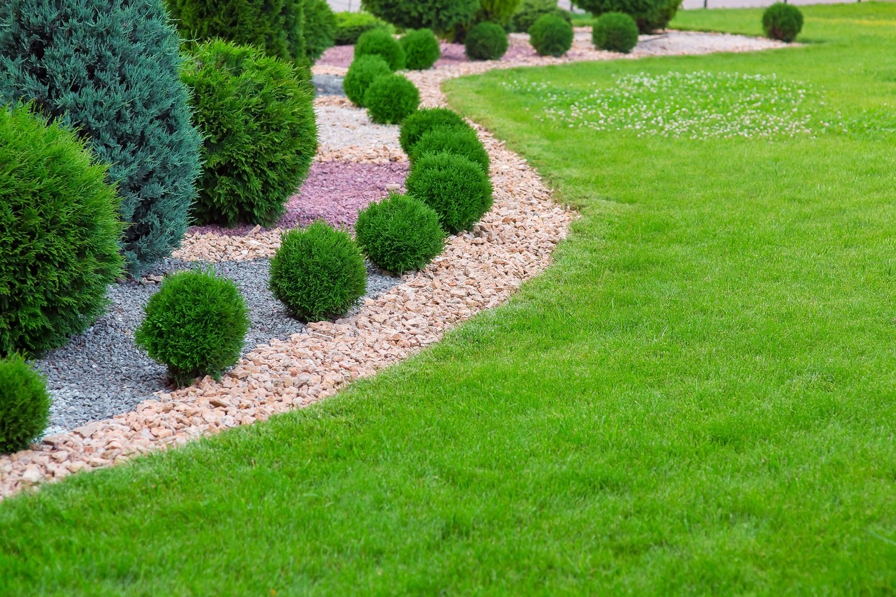 Add Mulch and Manage Moisture