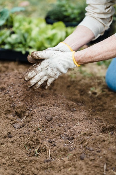 a farmer mixing compost to the ground