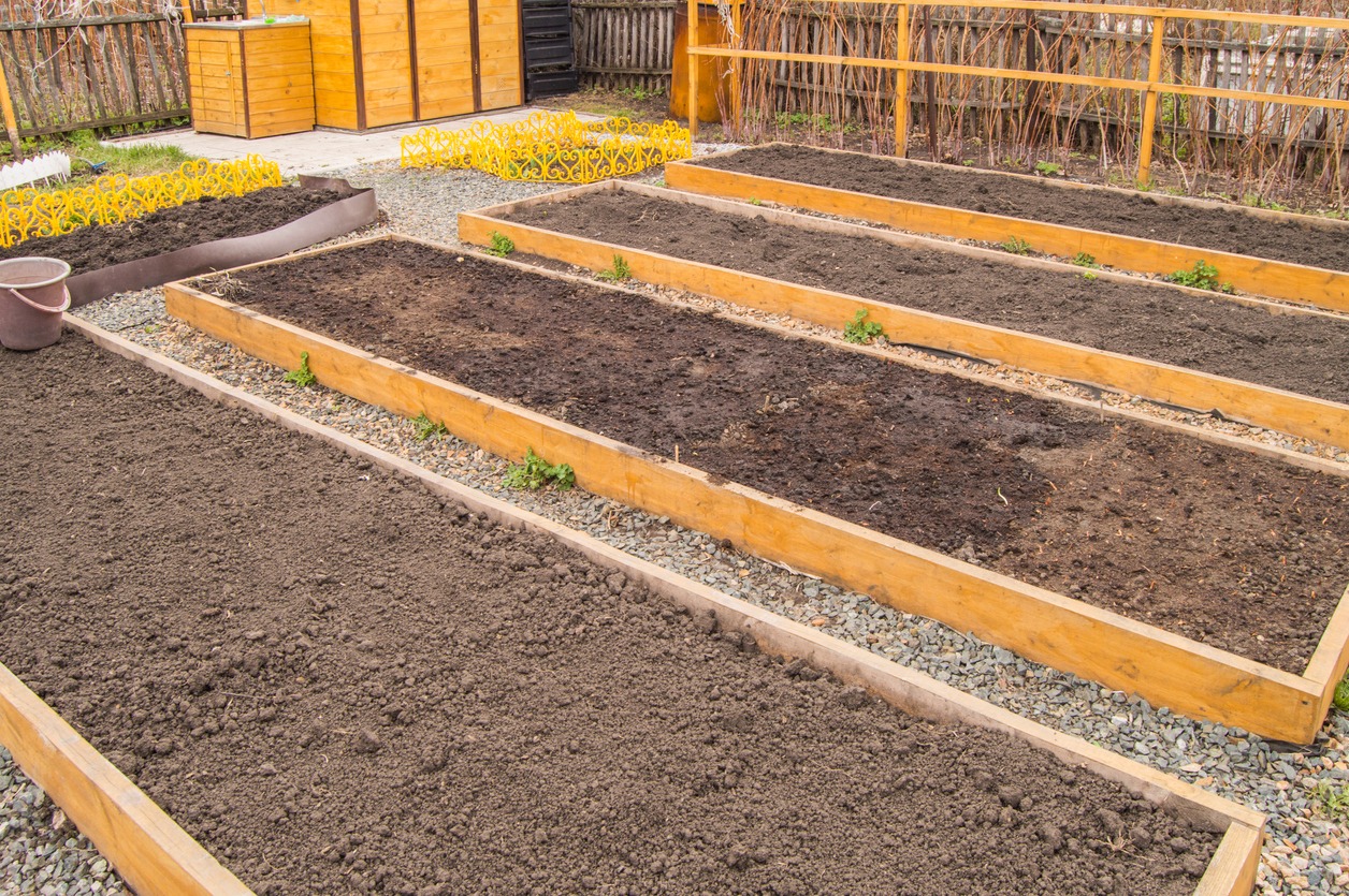 Plan Your Garden for Success