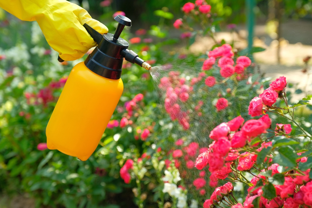 Practice Smart Pest Management