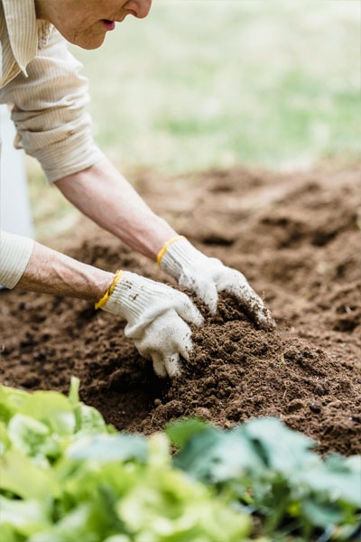 a woman preparing garden beds