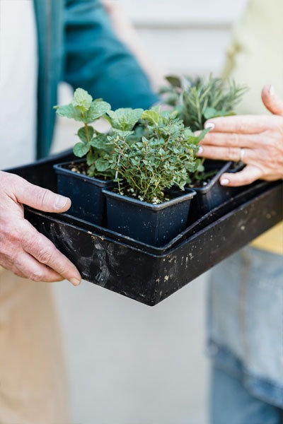 a person holding potted plants