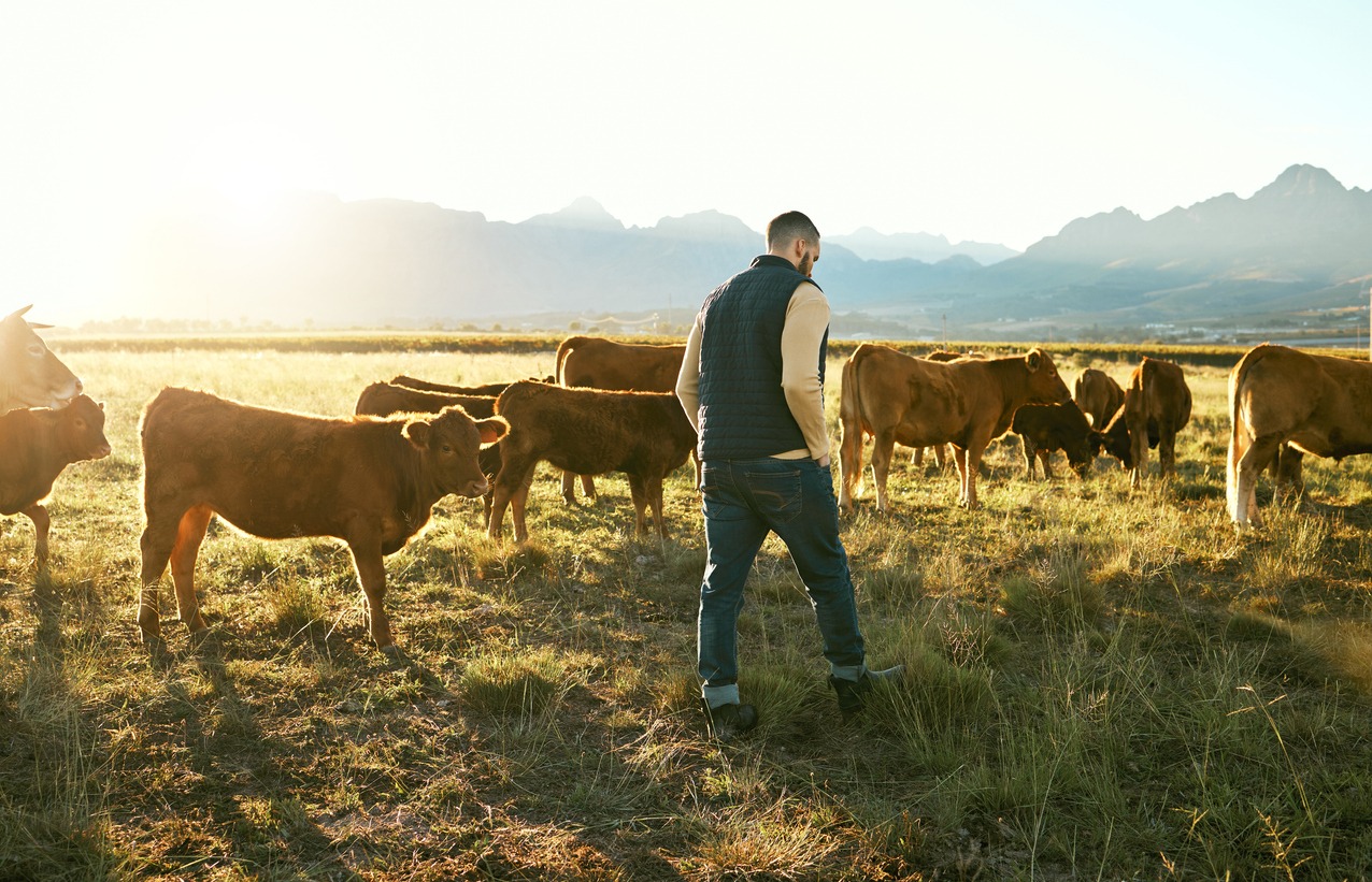 Livestock Management Necessities