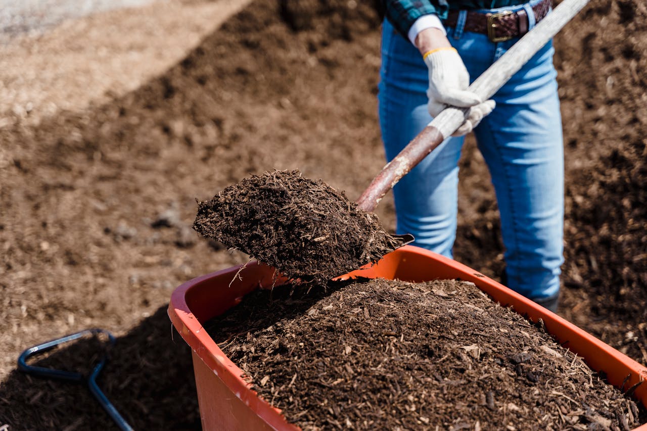 nutrient-rich soil