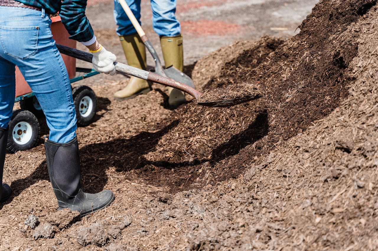 two people working with mulch