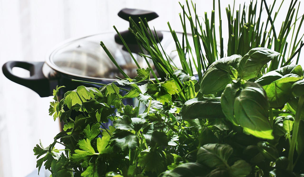 herbs near a pot
