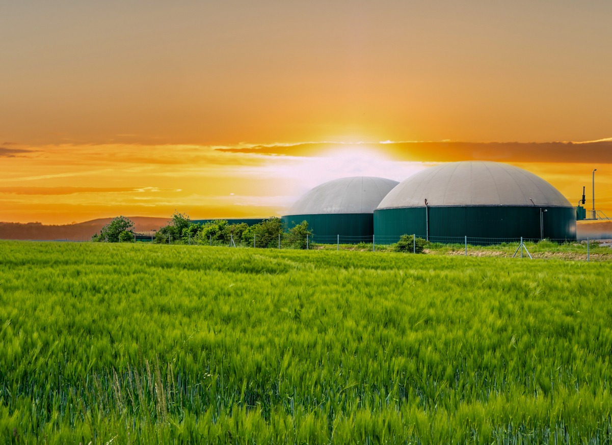 Biogas plant at sunset with corn field
