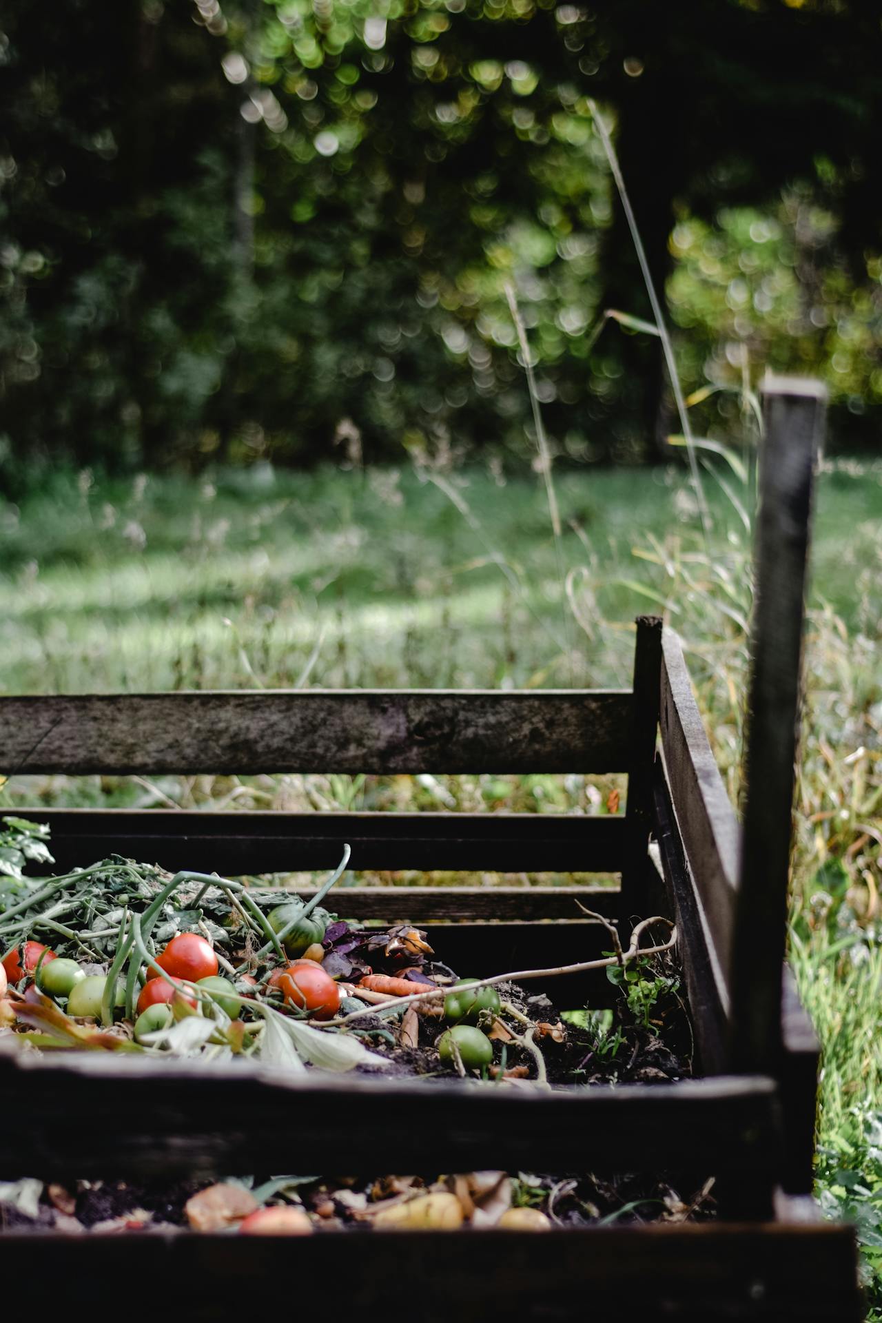 scrap vegetables to be composted