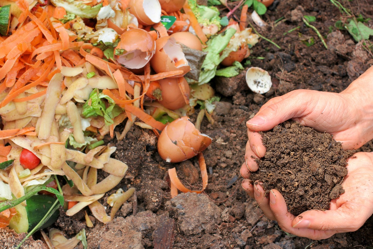 compost and kitchen scraps