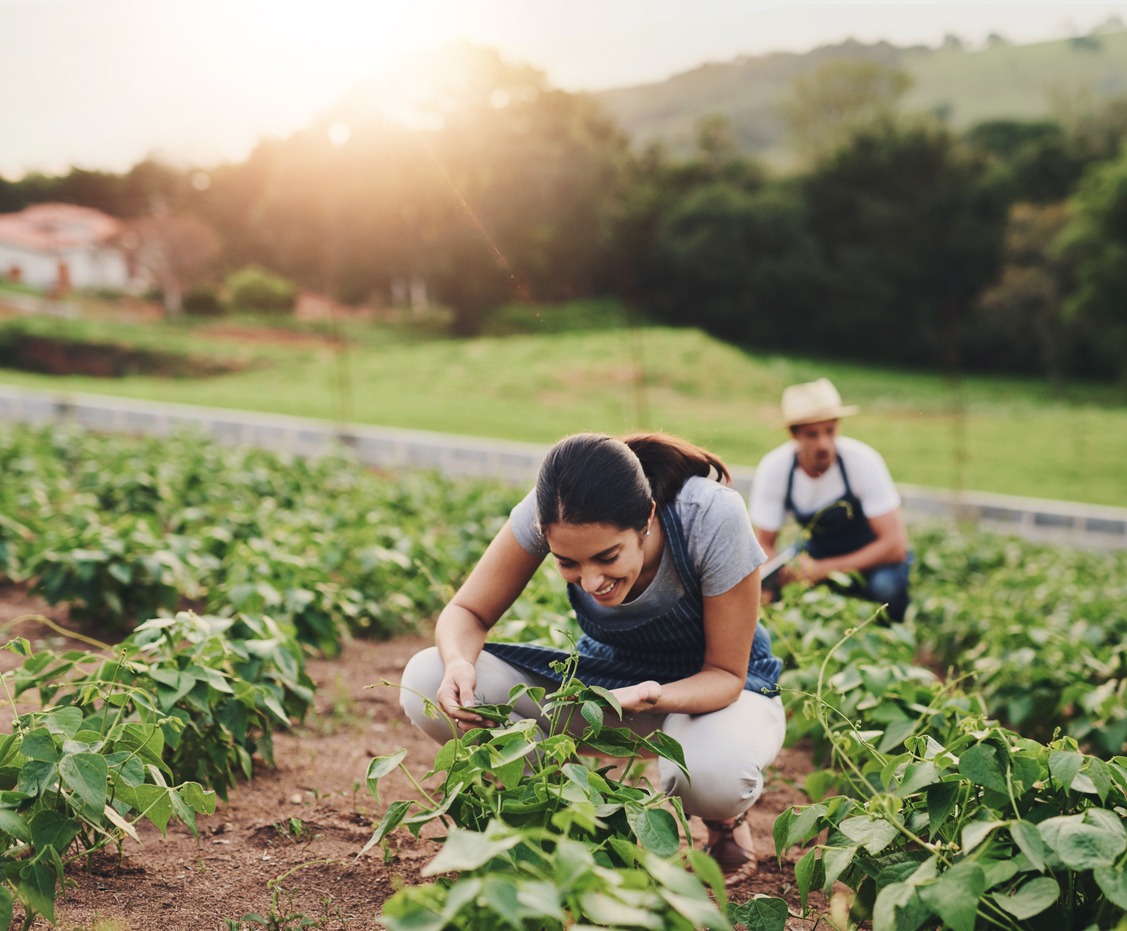 Outdoor, farming and woman with smile for crops